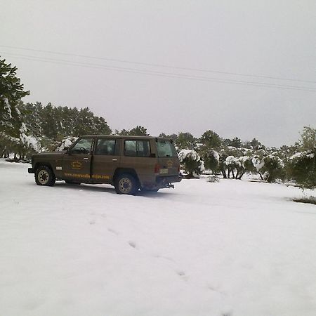Casa Rural Las Tejas El Picazo ภายนอก รูปภาพ