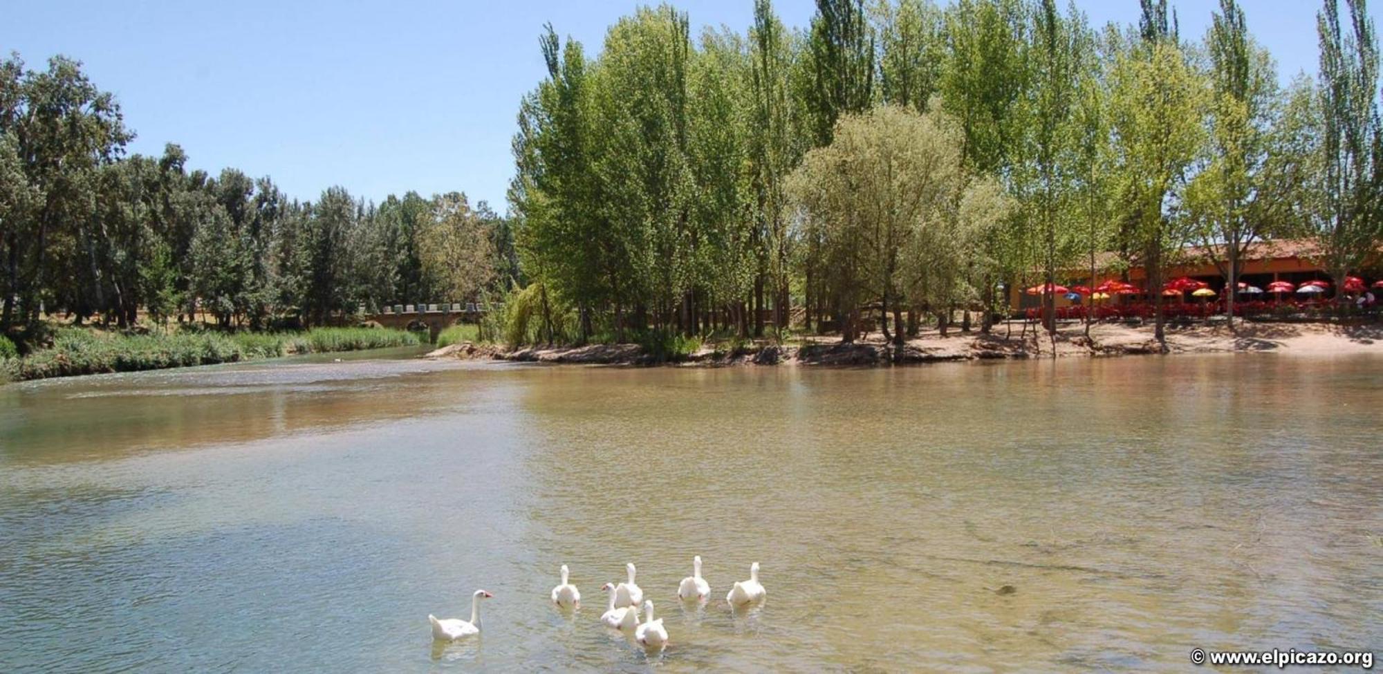 Casa Rural Las Tejas El Picazo ภายนอก รูปภาพ