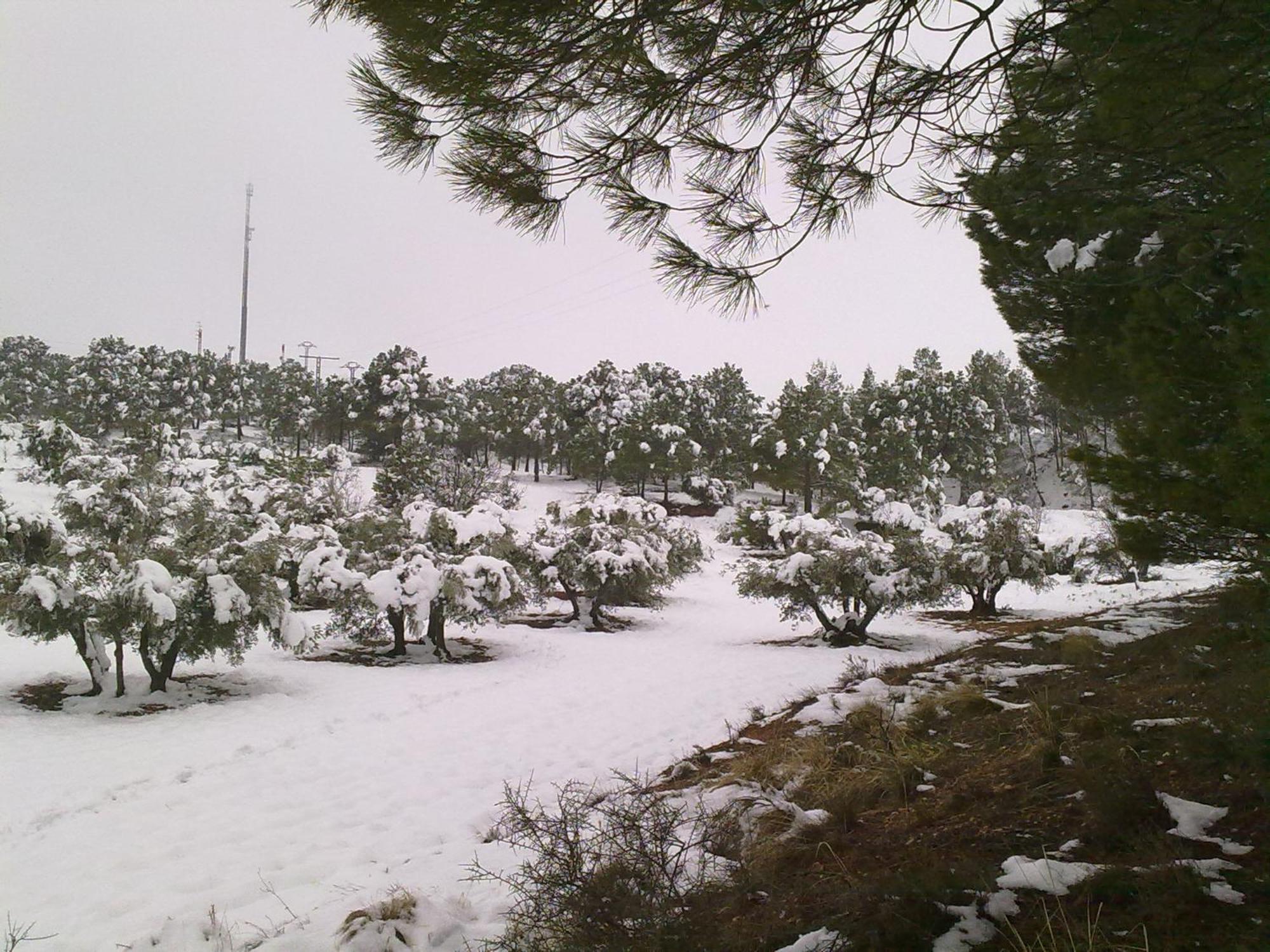Casa Rural Las Tejas El Picazo ภายนอก รูปภาพ