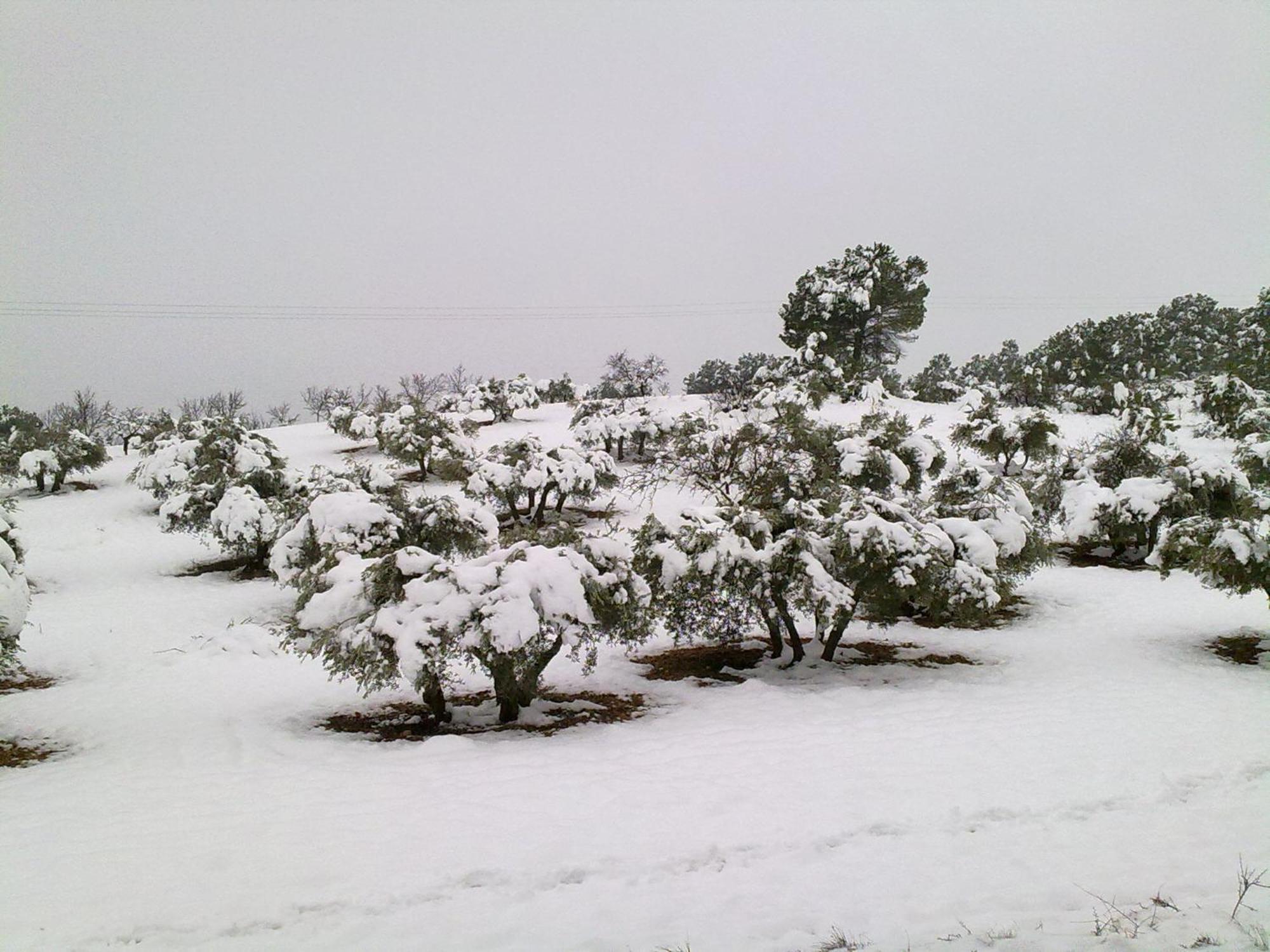 Casa Rural Las Tejas El Picazo ภายนอก รูปภาพ